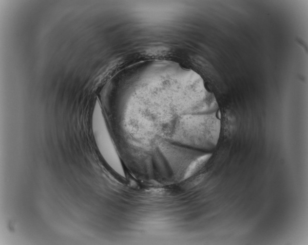 X0000101960428200808081532