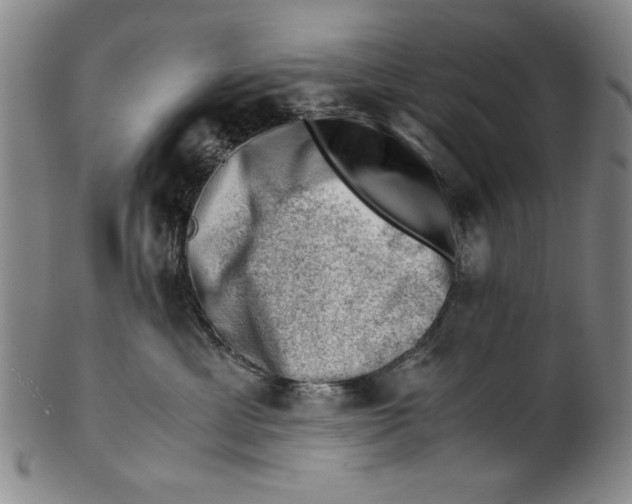 X0000101960429200808081532