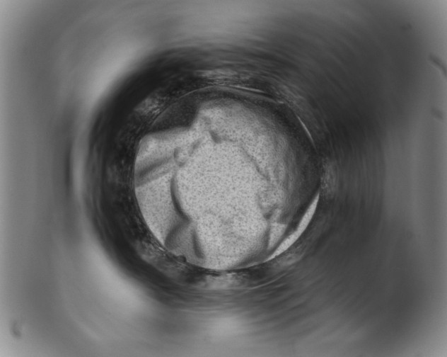 X0000101960430200808081532
