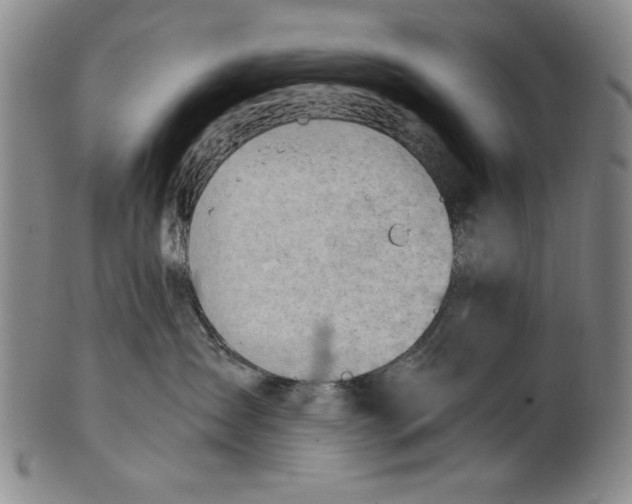 X0000101960431200808081532