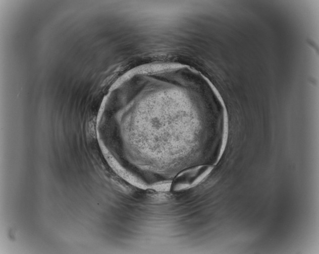 X0000101960432200808081532