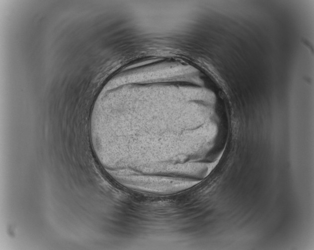 X0000101960433200808081531