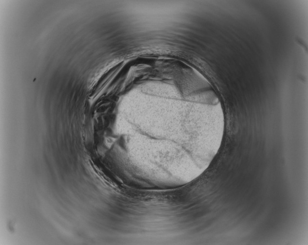 X0000101960434200808081531