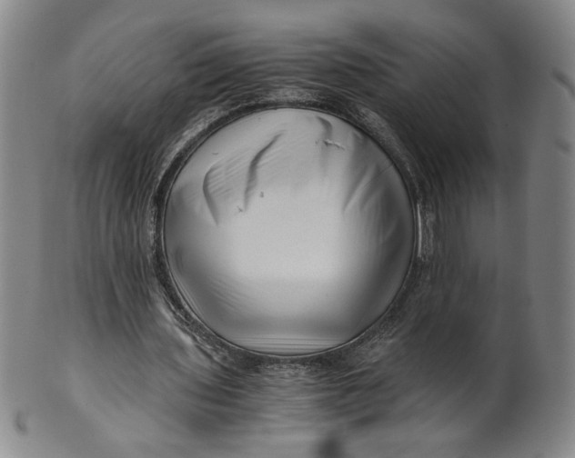 X0000101960435200808081531