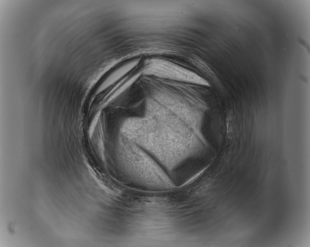 X0000101960436200808081531