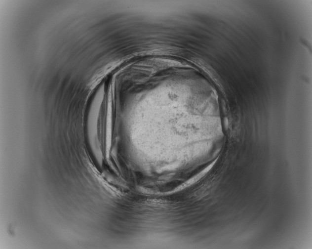 X0000101960437200808081531