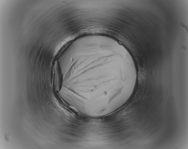 X0000101960438200808081531