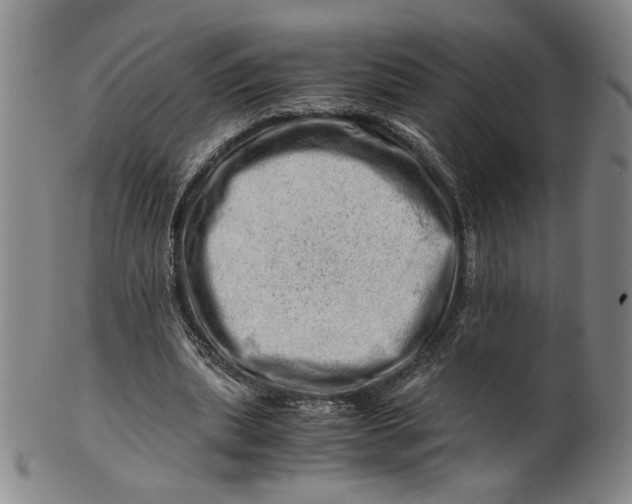 X0000101960439200808081531