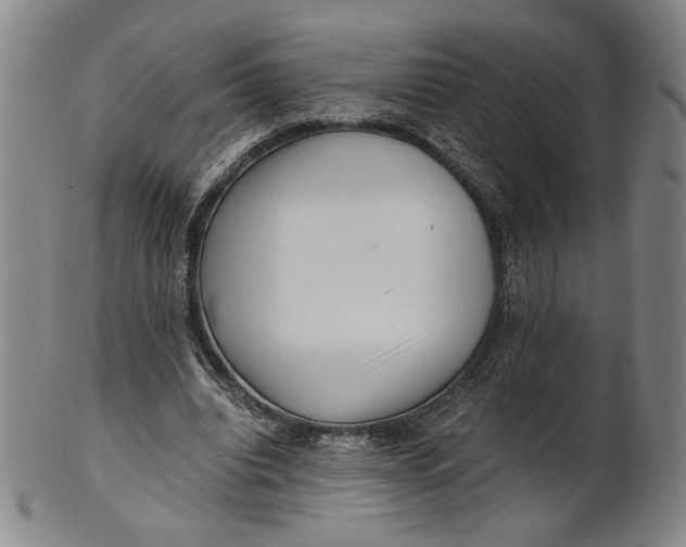 X0000101960440200808081532