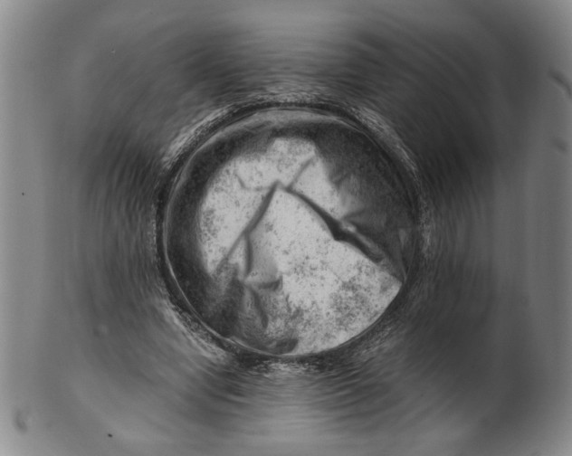 X0000101960442200808081532