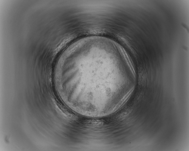 X0000101960443200808081532