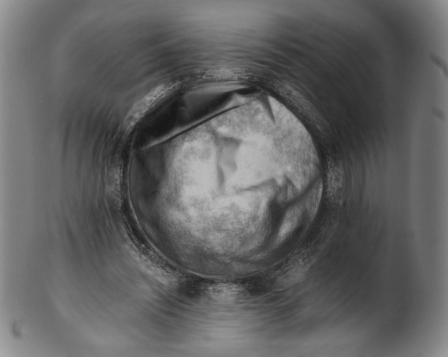 X0000101960444200808081532