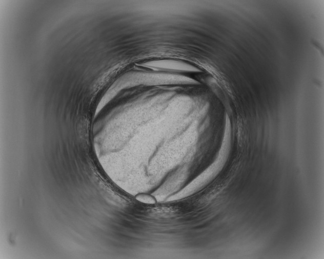 X0000101960445200808081532