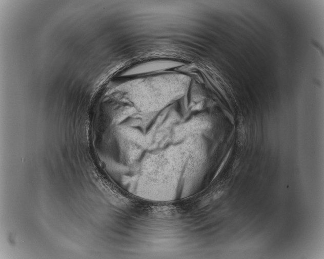 X0000101960446200808081532
