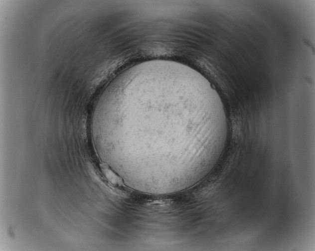 X0000101960447200808081532