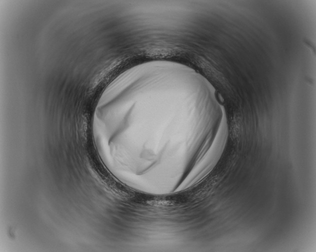 X0000101960448200808081532