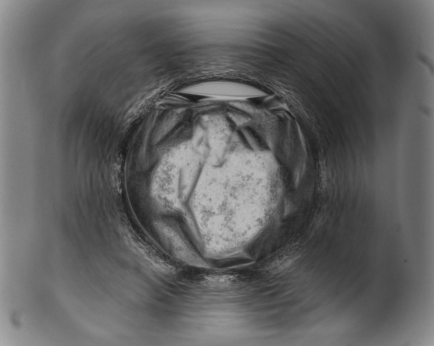 X0000101960450200808081532