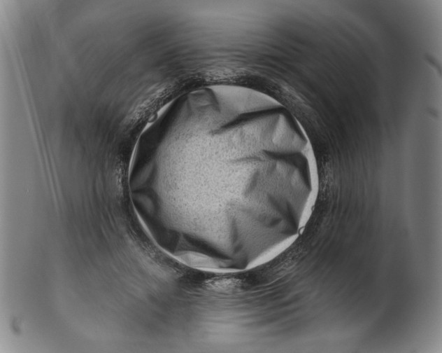 X0000101960452200808081532