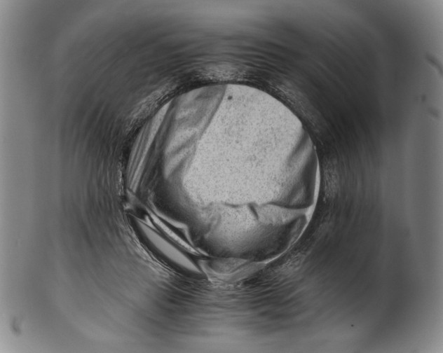 X0000101960453200808081532
