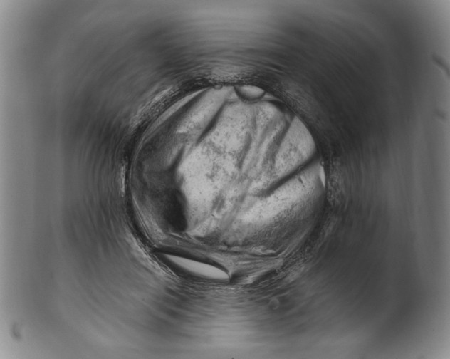 X0000101960454200808081532