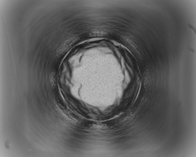 X0000101960455200808081532
