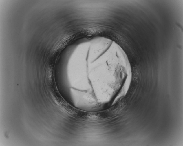 X0000101960456200808081532