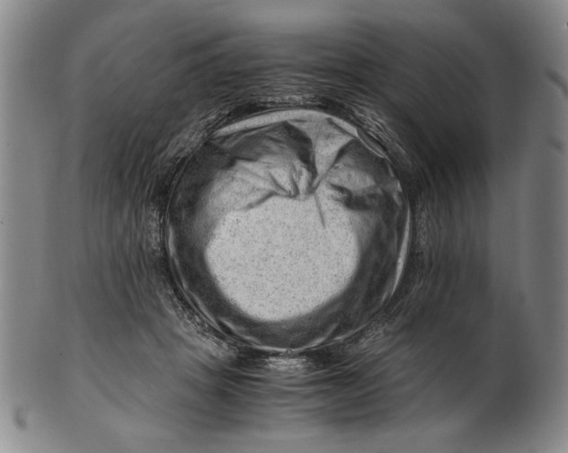 X0000101960457200808081532