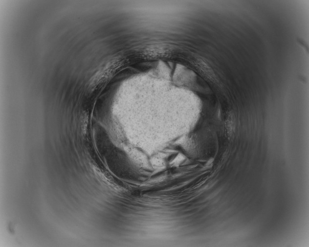 X0000101960458200808081532
