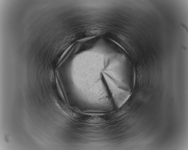 X0000101960459200808081532