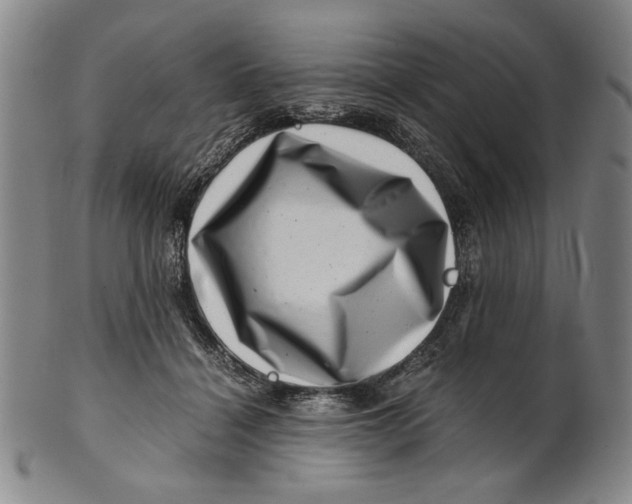 X0000101960460200808081532