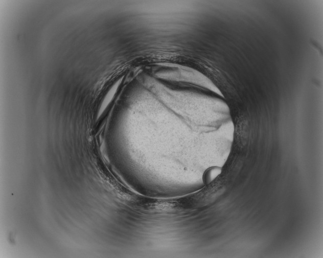 X0000101960462200808081532