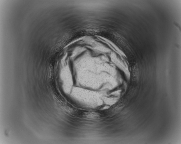 X0000101960463200808081532