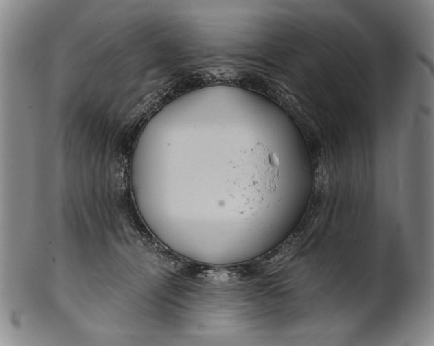 X0000101960464200808081532