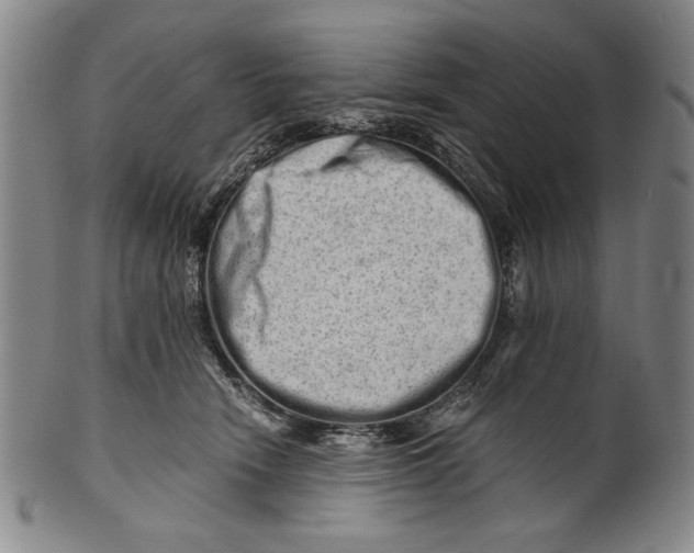 X0000101960466200808081532