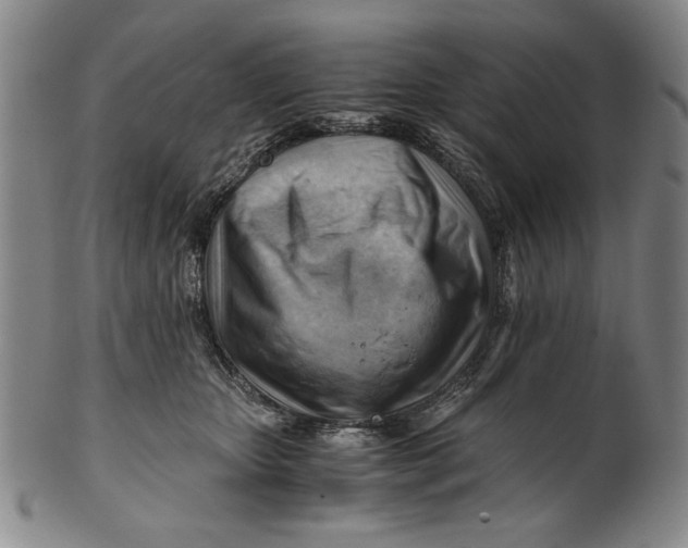 X0000101960467200808081532