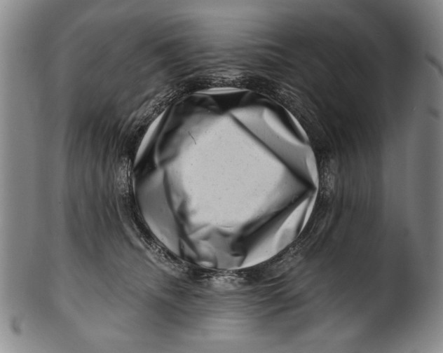 X0000101960468200808081532