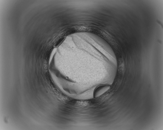 X0000101960469200808081532