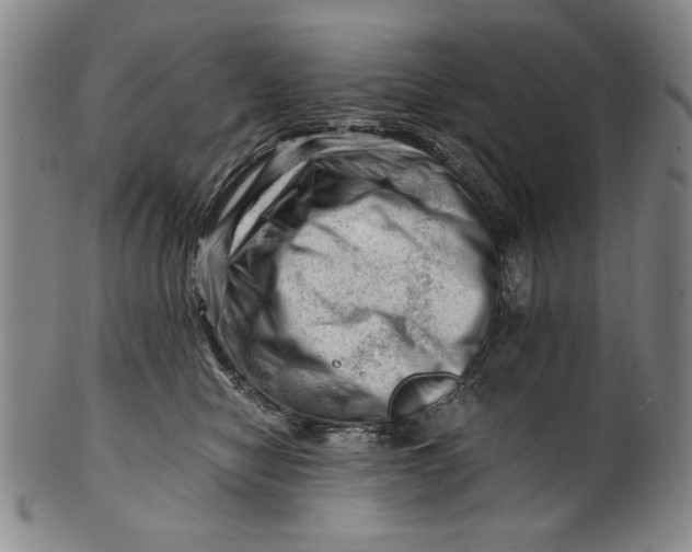 X0000101960470200808081532