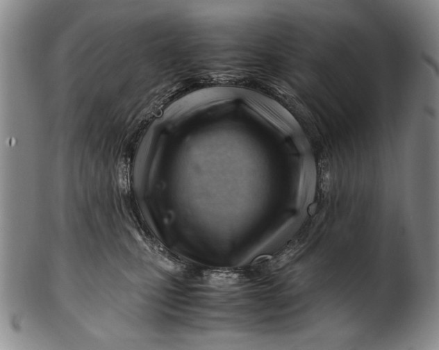 X0000101960471200808081532