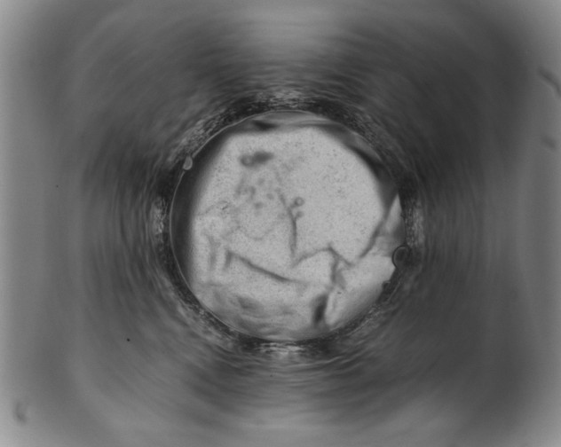 X0000101960472200808081532
