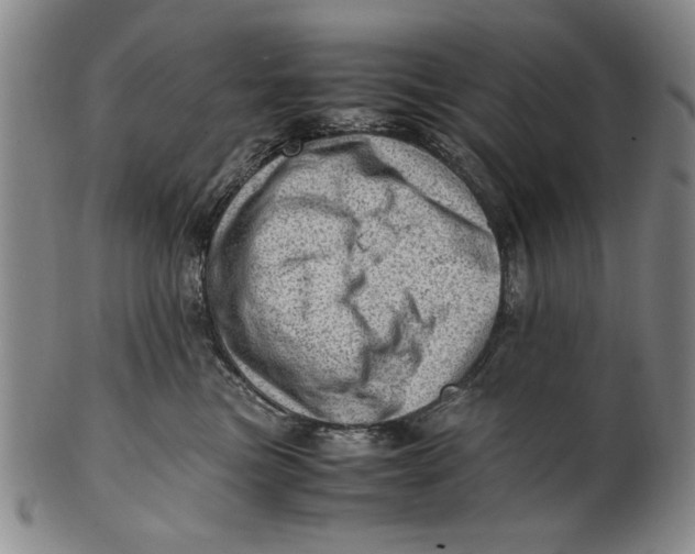 X0000101960473200808081532