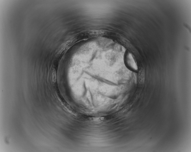X0000101960474200808081532