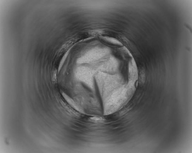 X0000101960477200808081532
