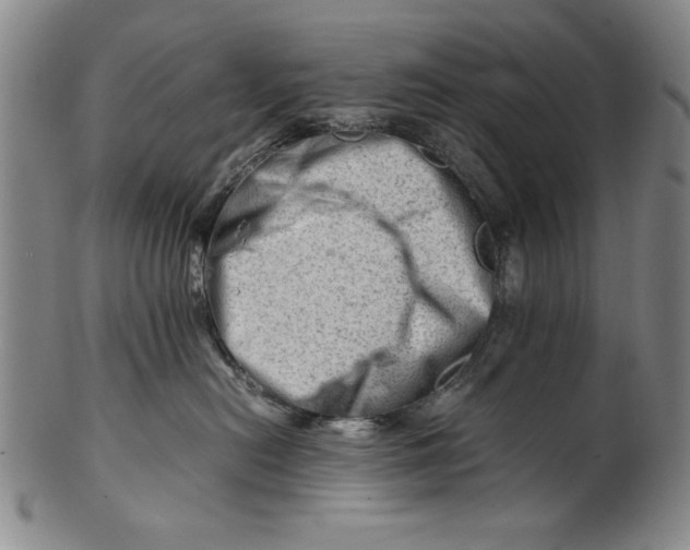 X0000101960478200808081532