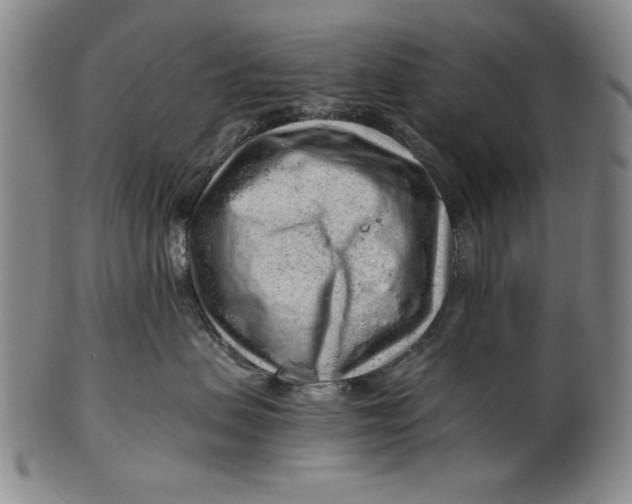 X0000101960479200808081532