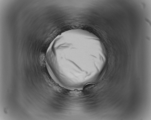 X0000101960480200808081532