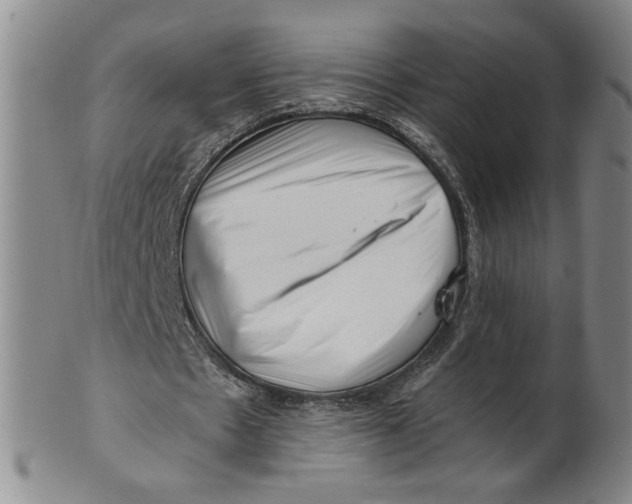 X0000101960481200808081531