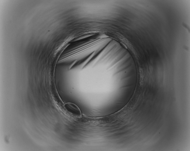 X0000101960482200808081531