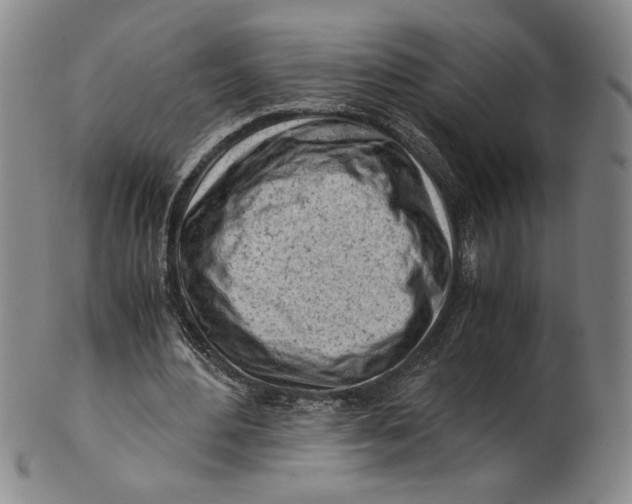 X0000101960484200808081531