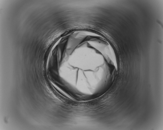 X0000101960485200808081531